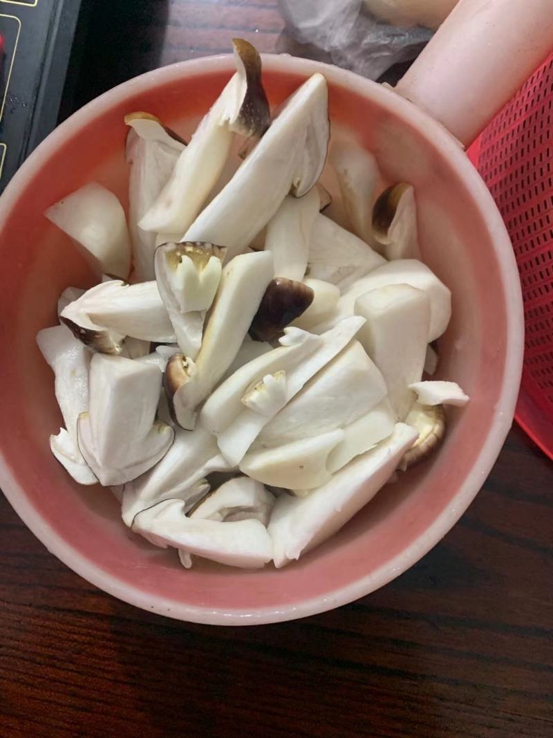 广东省清远市清新区石潭镇赤松茸种植场有赤松茸菇出售了