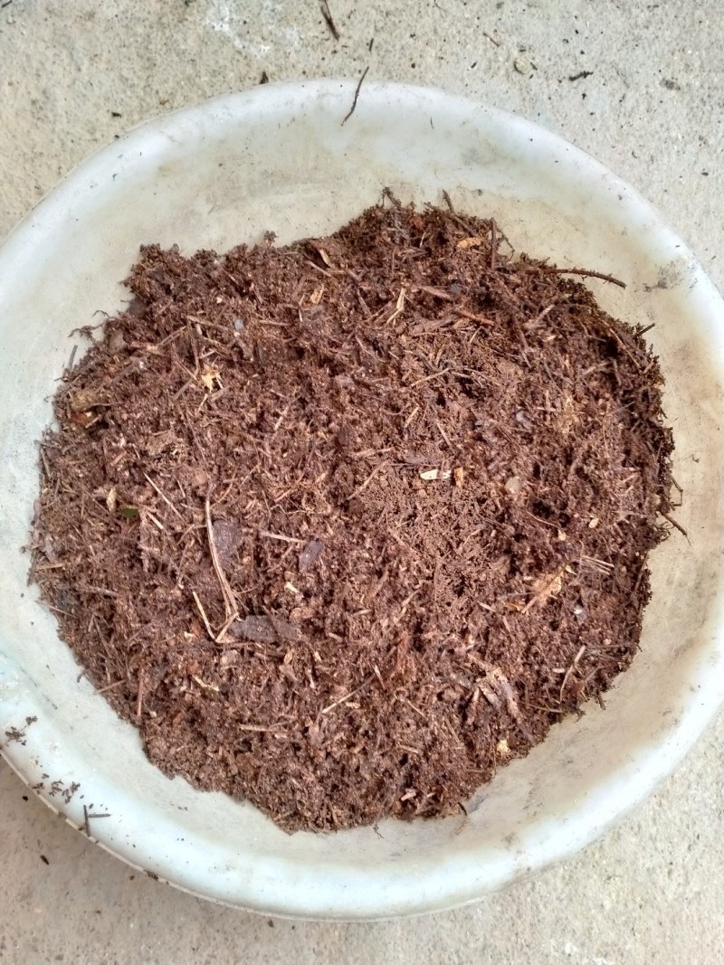 松树皮，腐蚀松树皮是种植兰花和各种草药的好肥料。