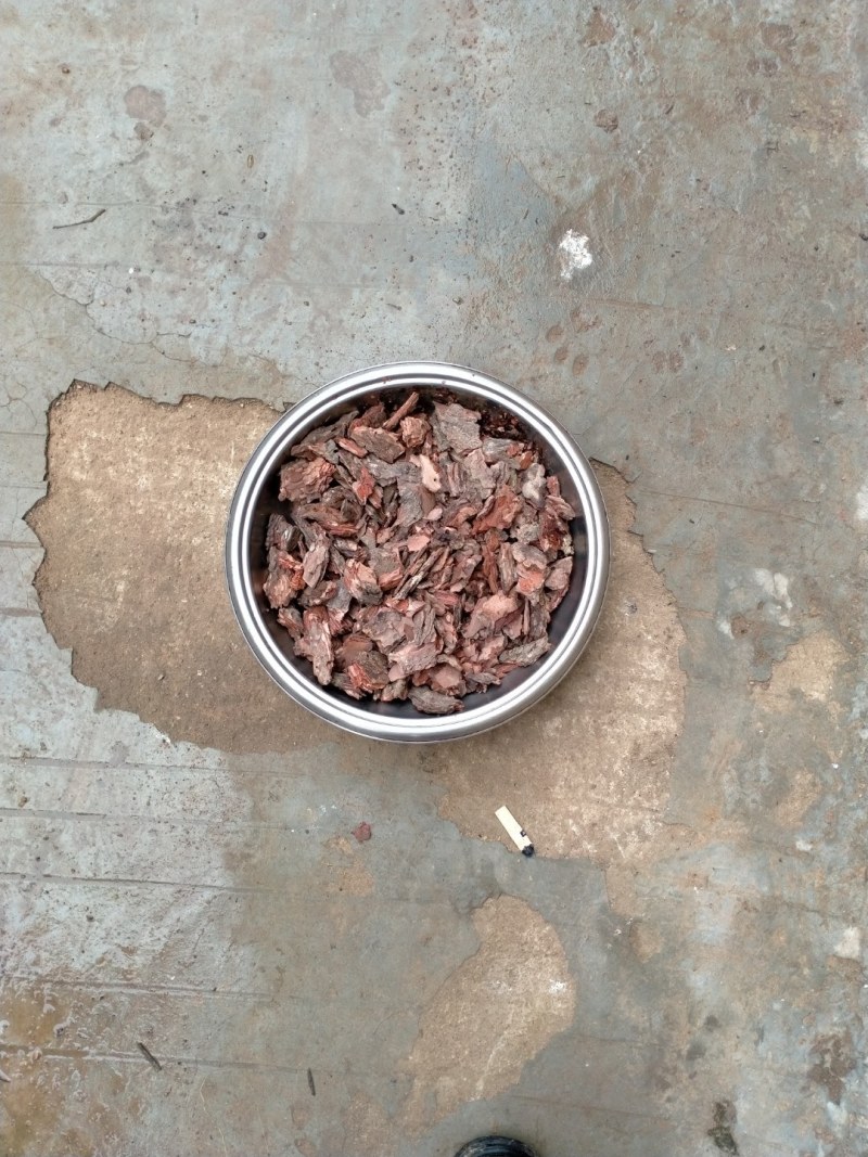 松树皮，腐蚀松树皮是种植兰花和各种草药的好肥料。