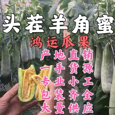 《羊角蜜甜瓜》大棚甜瓜-山东瓜-潍坊甜瓜-产地直销
