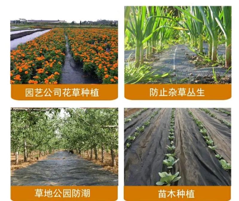 打孔防草布，透气，透水，保湿，保肥使用寿命长达3至5年。