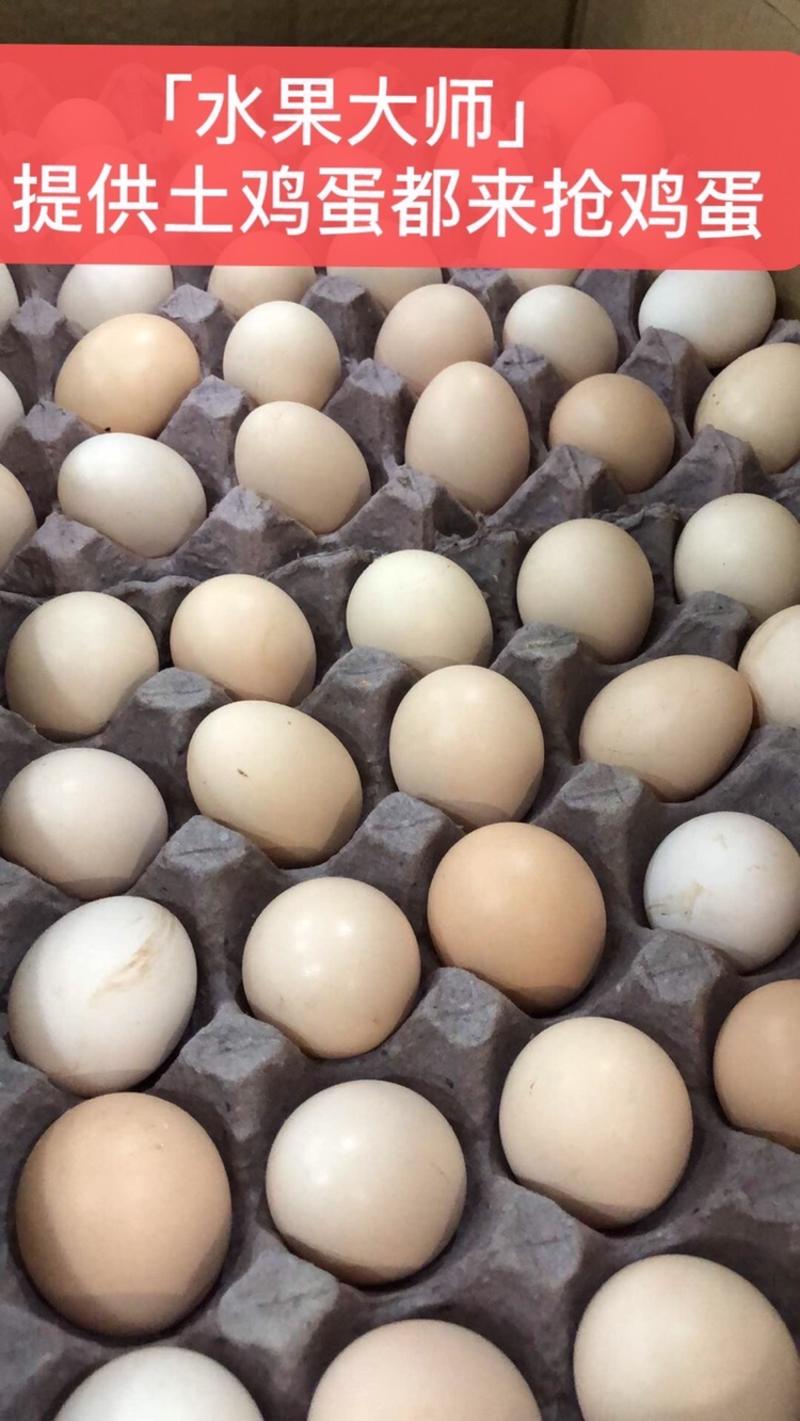 社团专用山东散养土鸡蛋可另外包装