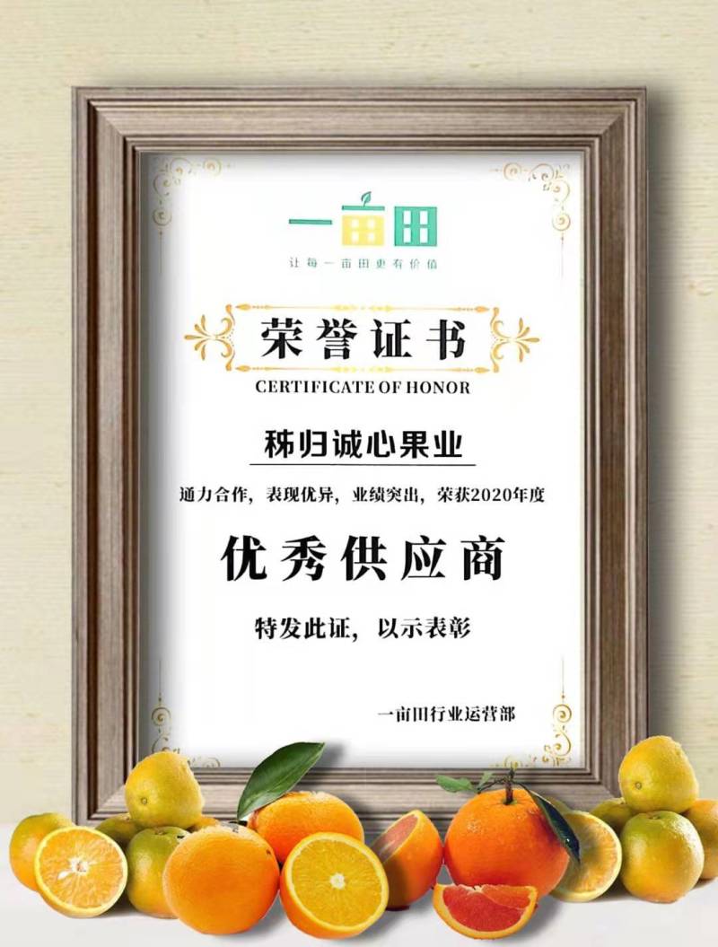 湖北纽荷尔长红产地品种齐全产地无中间商赚差价