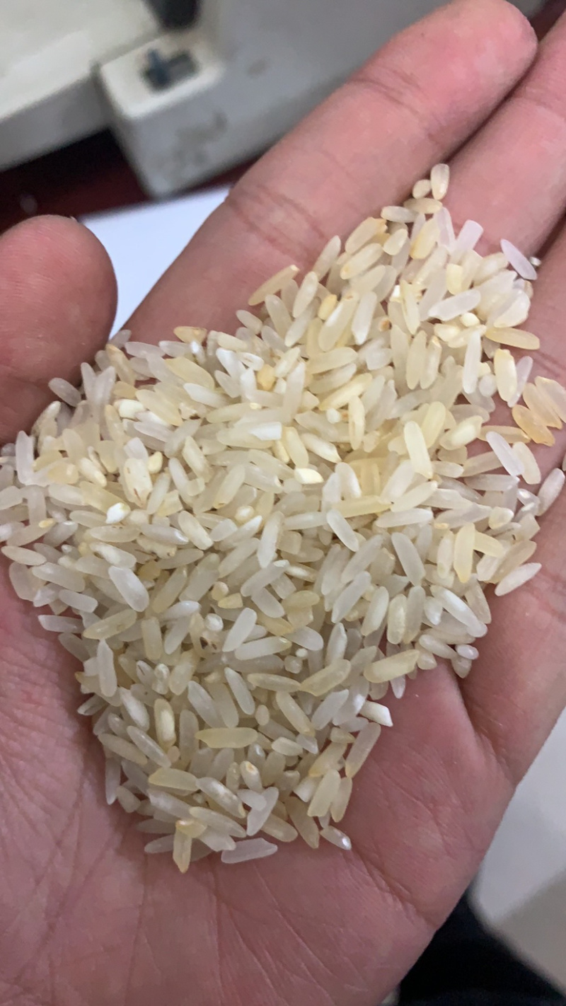 食品碎米，饲料碎米，酒厂碎米，做粉碎米大量有货
