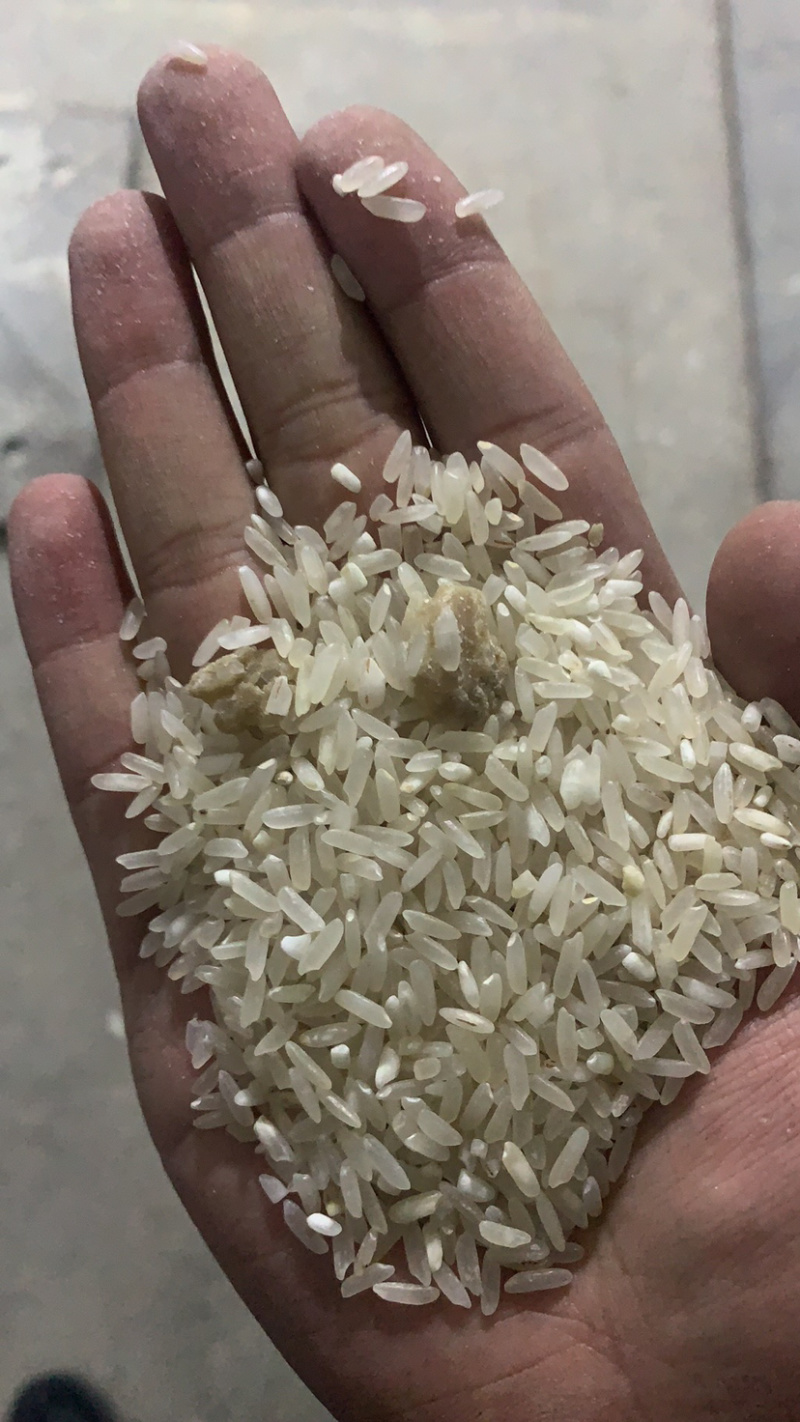 食品碎米，饲料碎米，酒厂碎米，做粉碎米大量有货