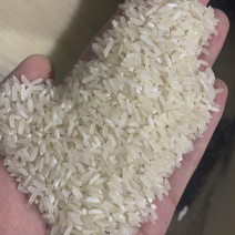 食品碎米，饲料碎米，酒厂碎米，做粉碎米大量有货