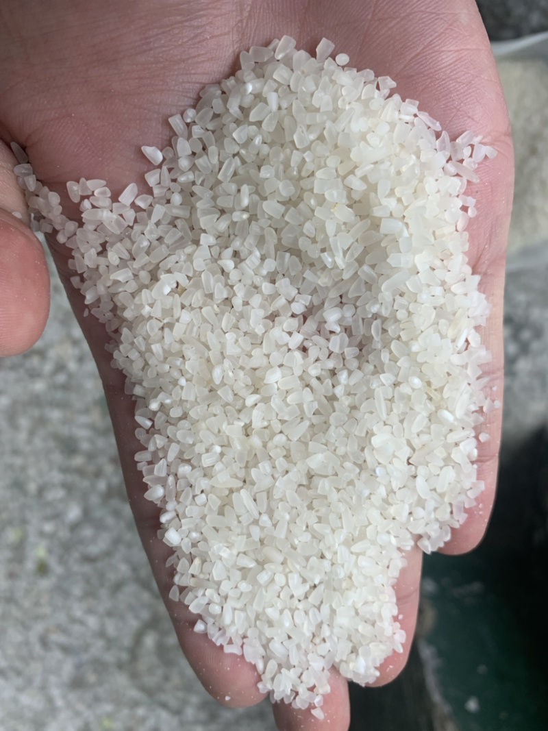 食品碎米，饲料碎米，酒厂碎米，做粉碎米大量有货