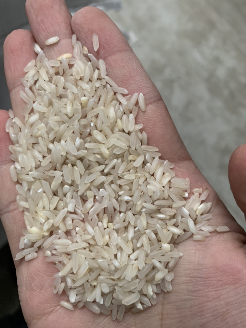食品碎米，饲料碎米，酒厂碎米，做粉碎米大量有货