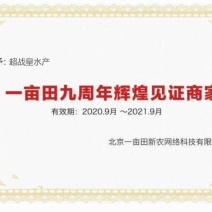 大闸蟹、以质量迎客户放心购买诚信经营，。