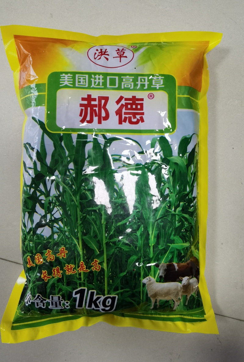 美国进高丹草种子养殖猪牛羊鱼虾蟹畜禽水产进口杂交牧草籽