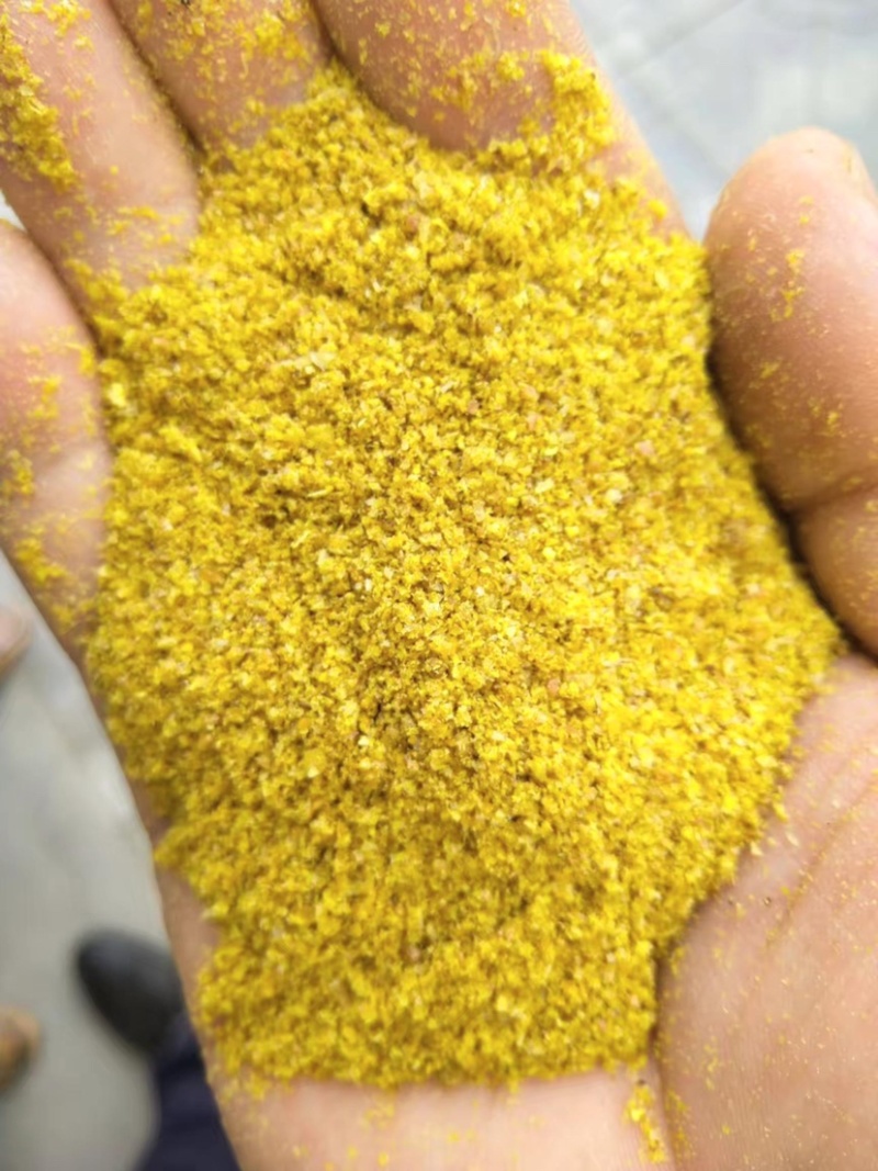 大量供应玉米蛋白饲料