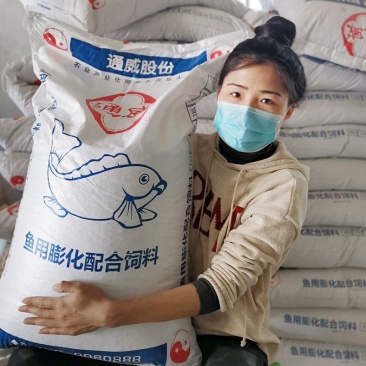 通威鱼饲料原塘正品高蛋白小颗粒浮料黑坑养殖鲤鲫草罗非观赏