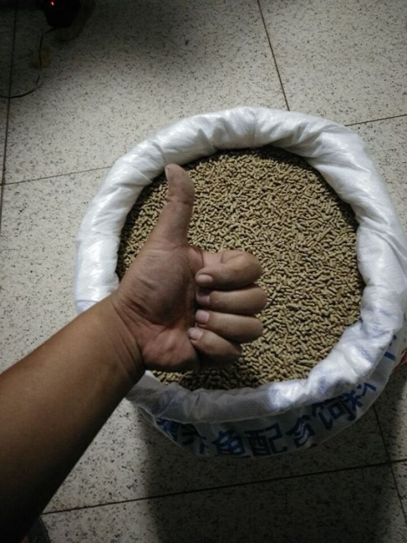 通威鱼饲料原塘正品高蛋白小颗粒浮料黑坑养殖鲤鲫草罗非观赏