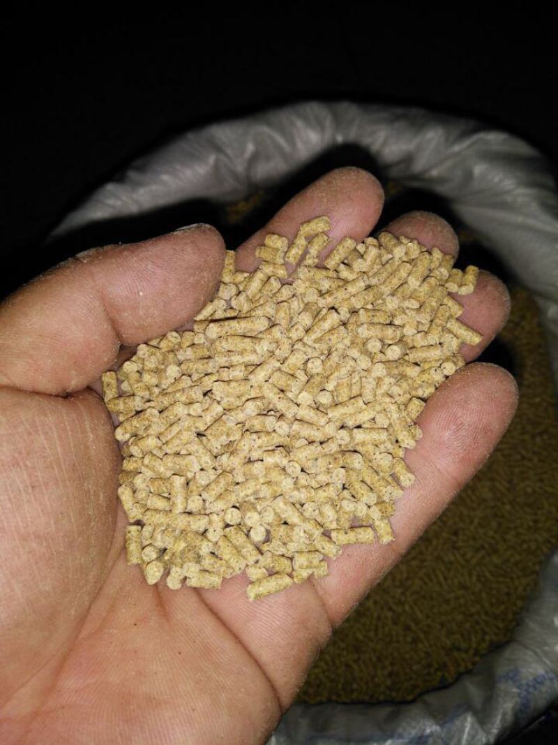 通威鱼饲料原塘正品高蛋白小颗粒浮料黑坑养殖鲤鲫草罗非观赏