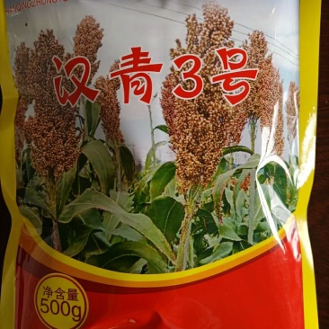 汉青种业有限公司高粱种子汉青三号生育期115-125天