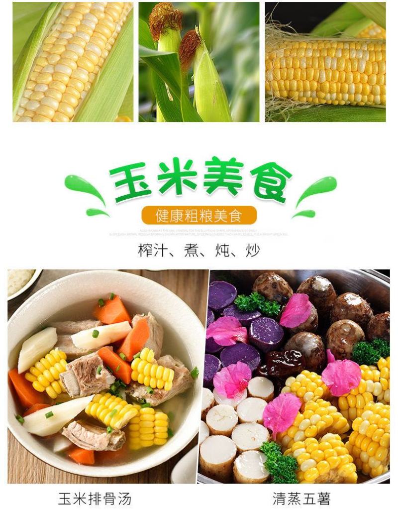 10斤新鲜广东水果玉米应时令蔬菜甜爆浆玉米棒批发包邮。