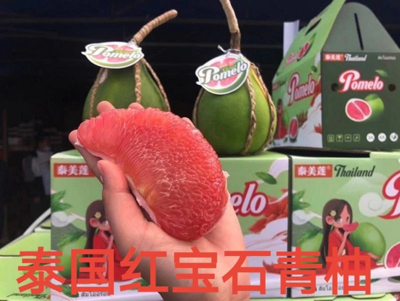 泰国红宝石青柚苗基地直供品种纯正可签合同
