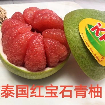 泰国红宝石青柚苗基地直供品种纯正可签合同