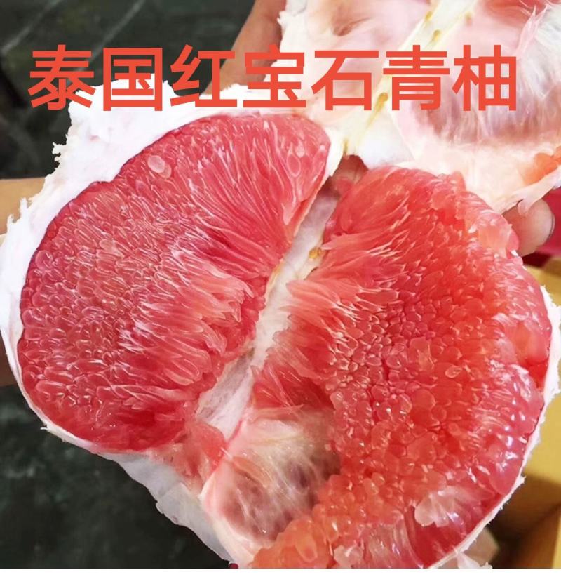 泰国红宝石青柚苗基地直供品种纯正可签合同