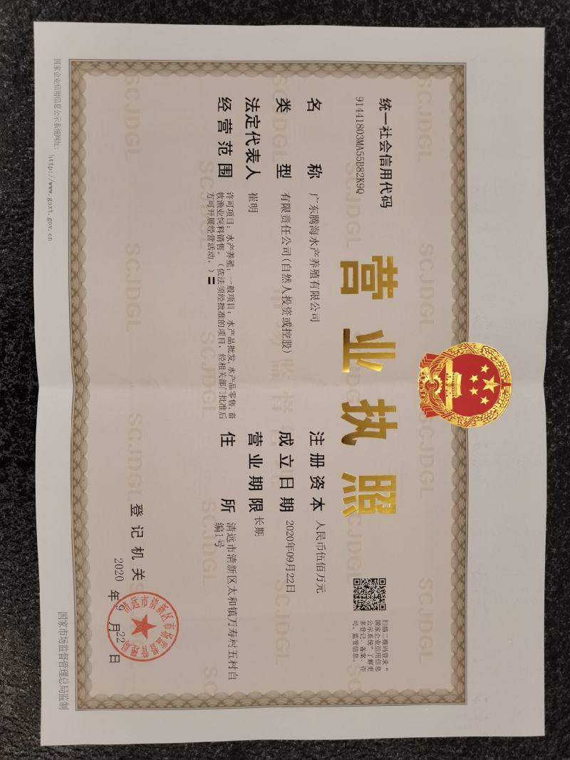 【土鲶鱼苗】塘鲺苗批发本地塘角鱼苗土鲶鱼苗批发基地直供