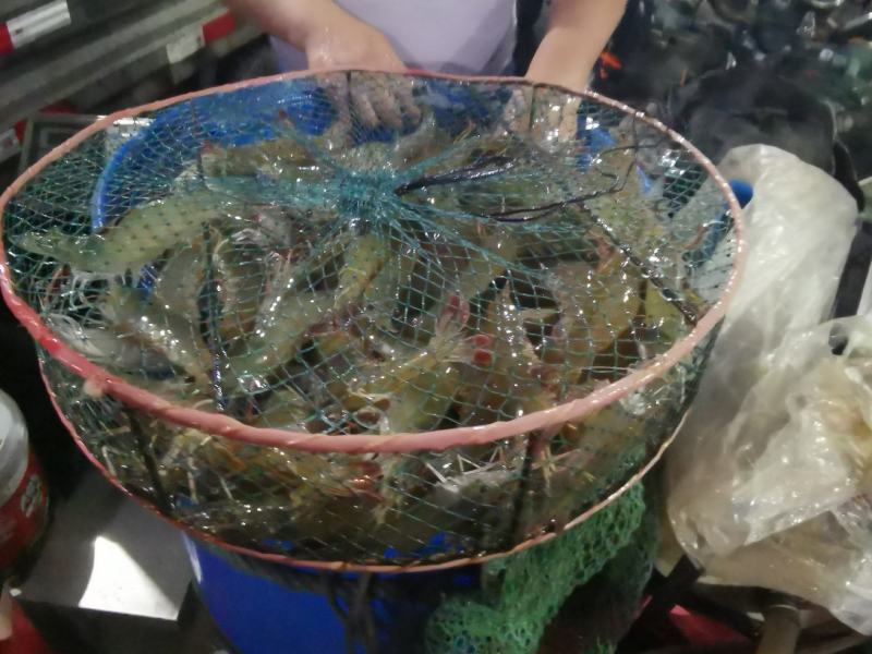 鲜活冻虾产地直供南美白对虾价格透明一手货源品质优选