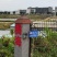 宝路罗非鱼苗基地直供吉富罗非苗台湾罗非王鱼苗海南一号