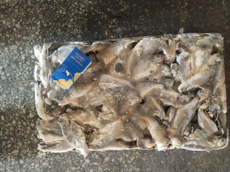 小黄花鱼两去食品厂罐头厂原料各规格