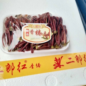大竹香椿芽，二郎红香椿芽，精品香椿芽，红油香椿芽