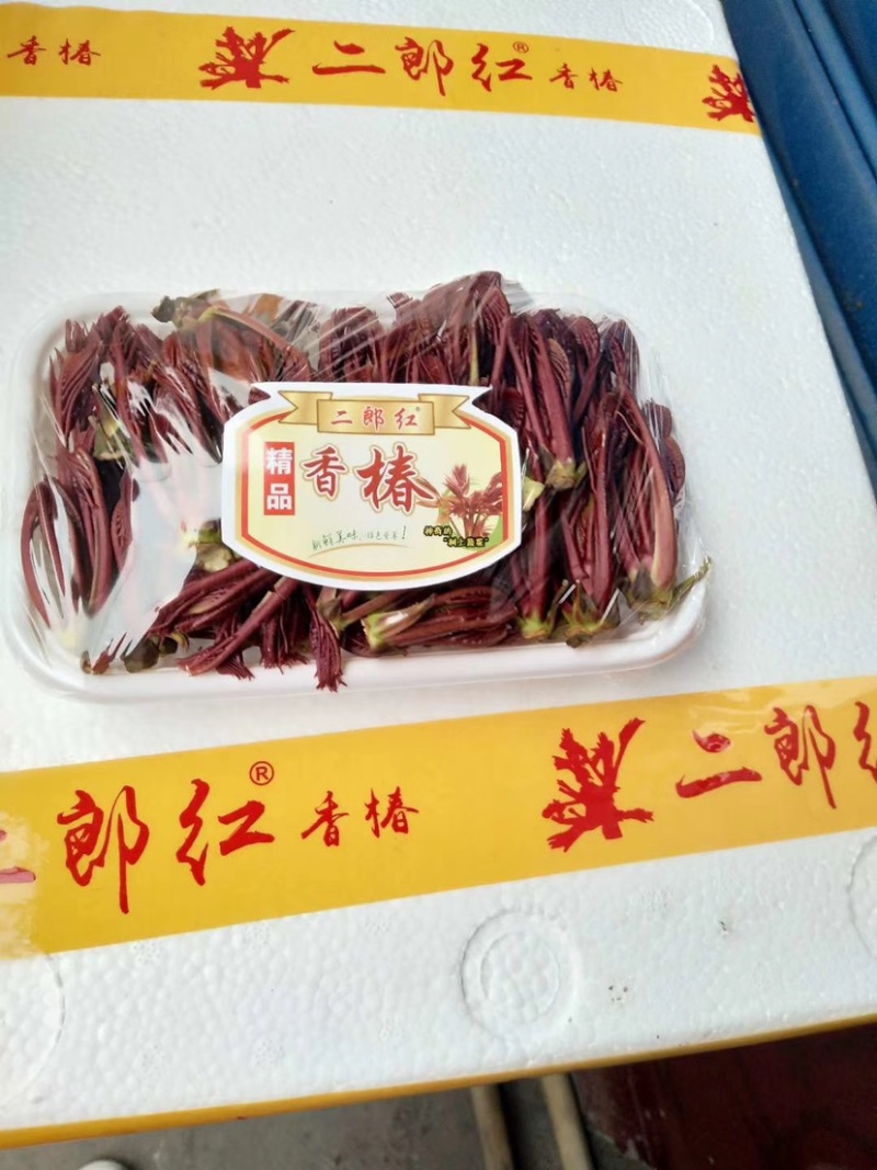 大竹香椿芽，二郎红香椿芽，精品香椿芽，红油香椿芽