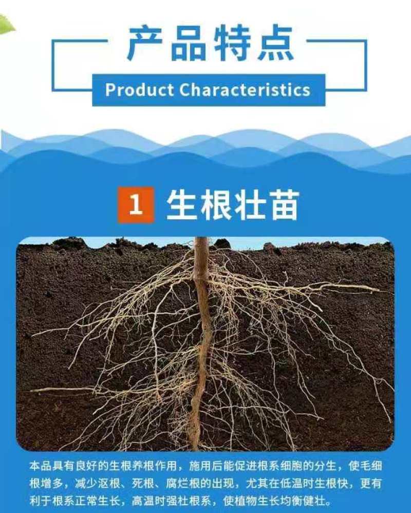 酵素生物羊粪、发酵纯羊粪、有机肥、源头工厂底肥通用