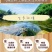 广东廉江新葱红葱头干货葱种产量高抗病强基地直供