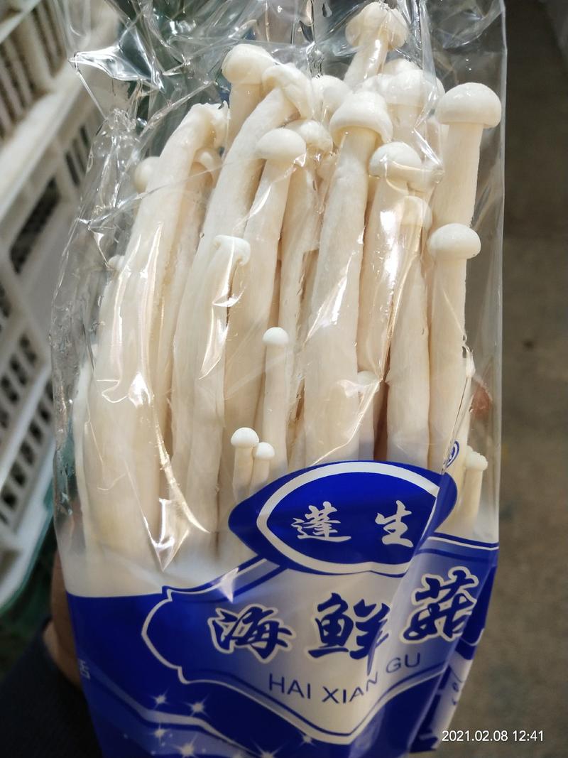 蓬生牌半斤精品海鲜菇