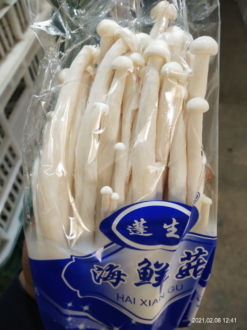 蓬生牌半斤精品海鲜菇