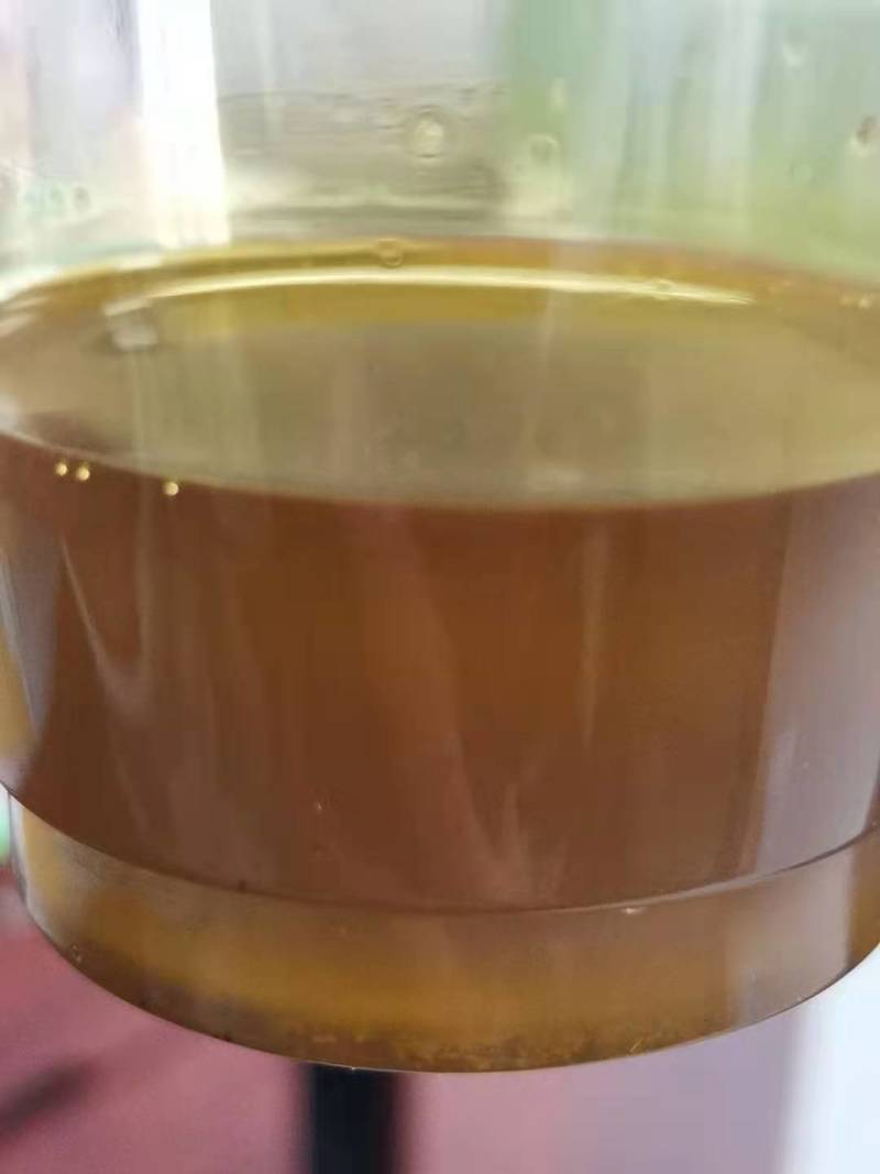 内蒙呼伦贝尔油菜籽，大量出货中，全国发货