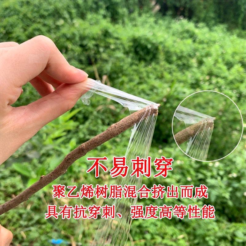 嫁接专用膜嫁接绑带果树苗包扎带无需打结自粘性缠绕膜