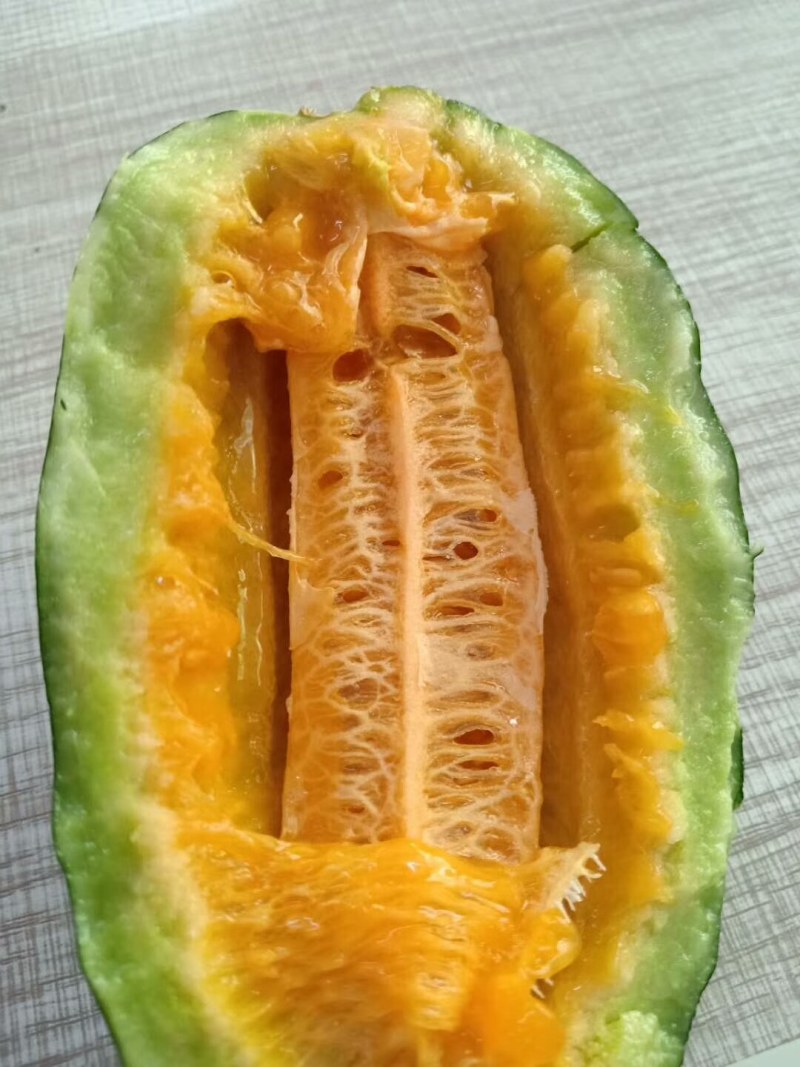羊角蜜甜瓜，产地直销