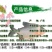 【2023新苗】淡水白鲳鱼苗红鲳鱼苗鲳鱼苗淡水养殖