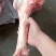 牛棒骨，清真，都是纯圆棒不带肉熬汤，大量现货，吨起谈价