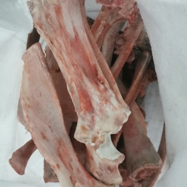牛扁骨牛杂骨食品级，常年有货
