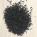 新产知母种子知母籽，5斤以上非边远地区包邮，