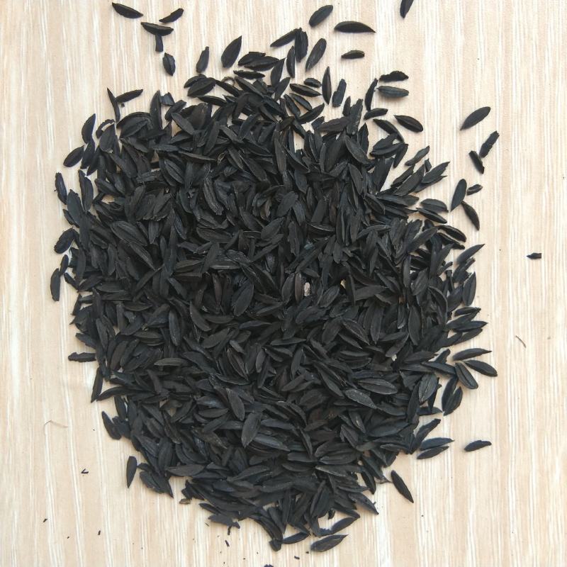 新产知母种子知母籽，5斤以上非边远地区包邮，