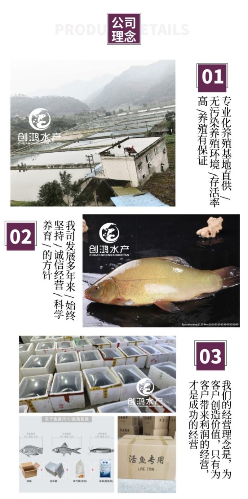 【2023新苗】丁桂鱼鱼苗欧洲丁鱥鱼苗丁桂鱼水花供应