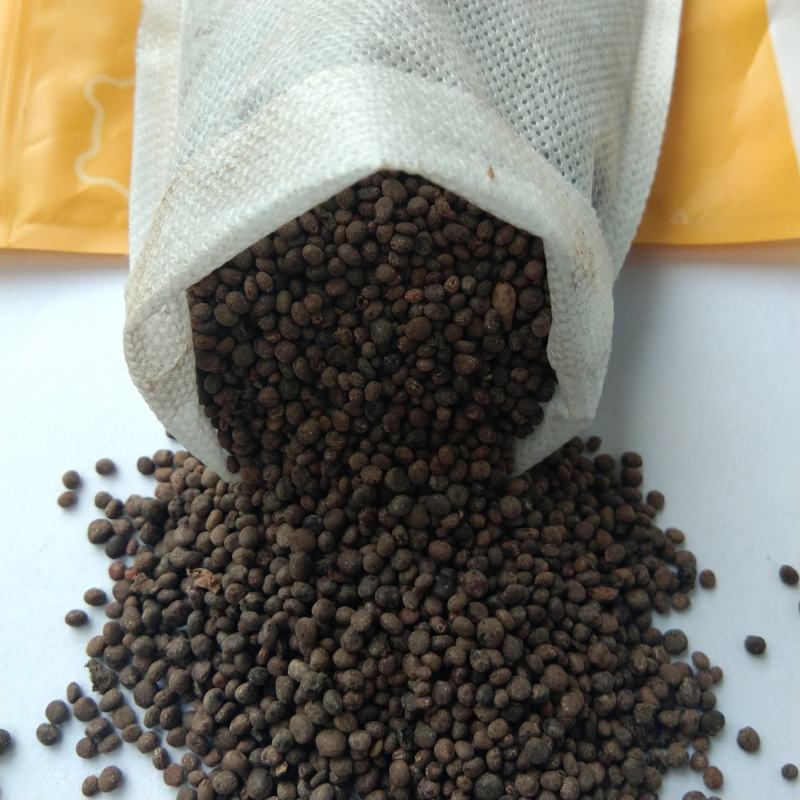 新产急性子，凤仙花种子，多购优惠包邮