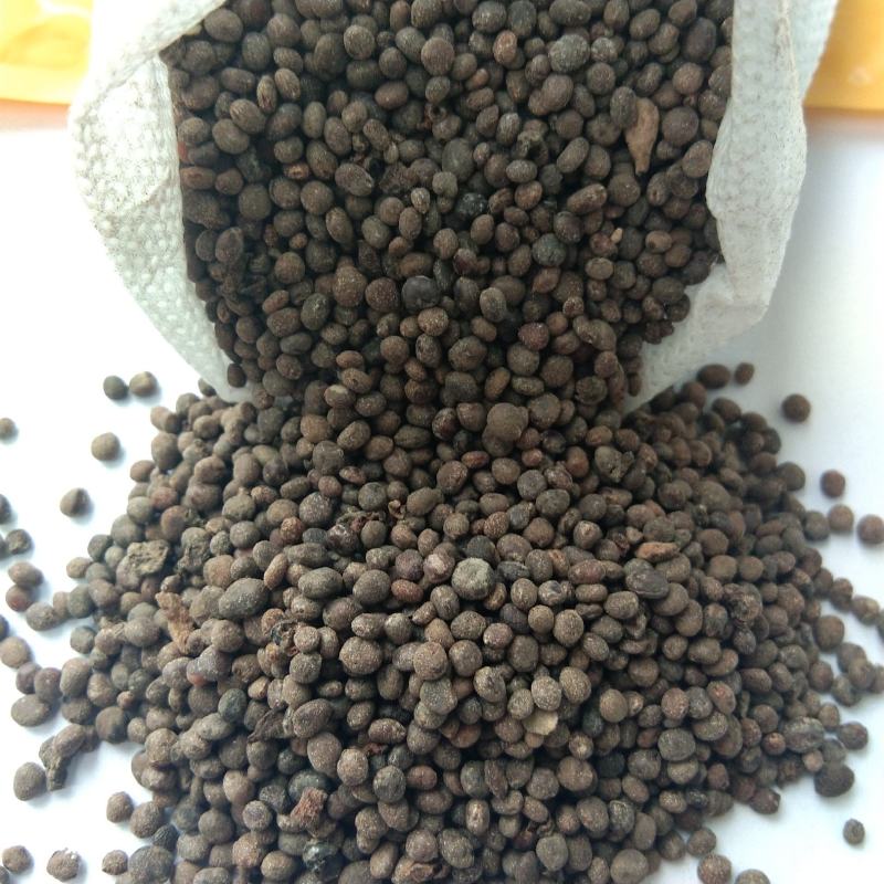 新产急性子，凤仙花种子，多购优惠包邮