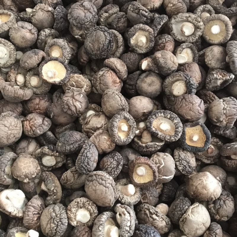 特级厚香菇干货黑面菇金钱菇食用菌原产地种植基地批发