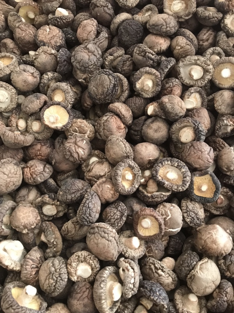 特级厚香菇干货黑面菇金钱菇食用菌原产地种植基地批发