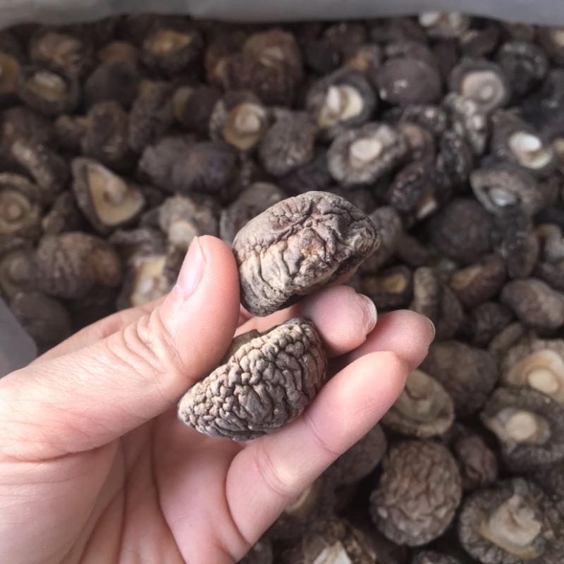 特级厚香菇干货黑面菇金钱菇食用菌原产地种植基地批发
