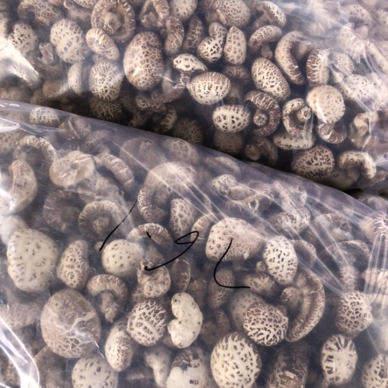 泌阳天白大花菇带脚新货肉厚香浓原产地批发货食用菌干货