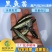 【2023新苗】优质黑鱼鱼苗生鱼苗乌鱼苗杂交黑鱼苗