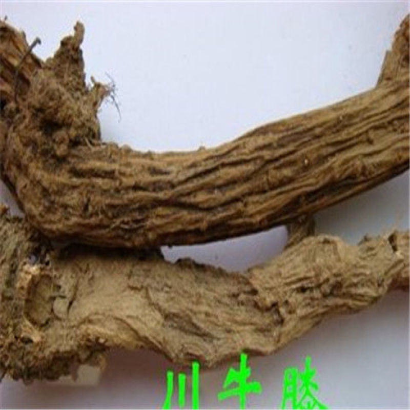 中药材纯川牛膝粉散装包邮牛膝粉初级农产品